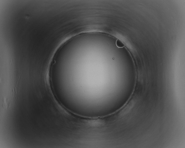X0000101671189200807101353