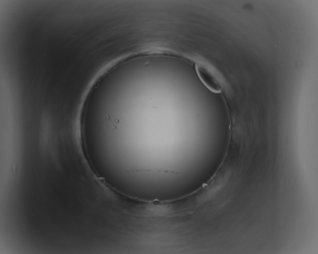 X0000101671191200807101353
