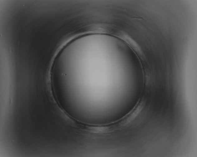 X0000101671192200807101353