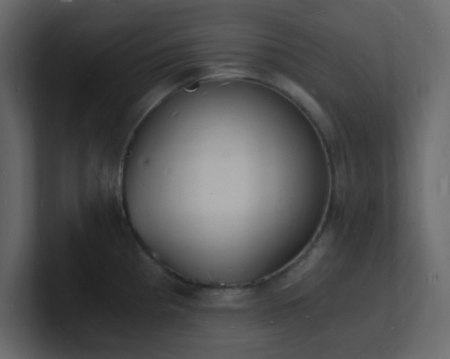 X0000101671193200807101353