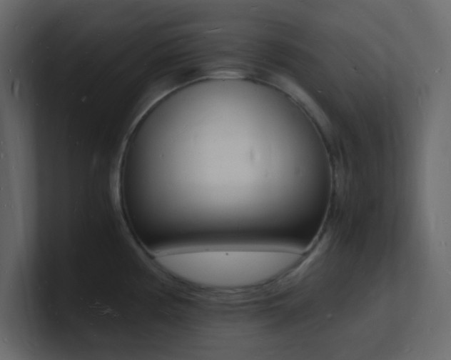X0000101671194200807101353