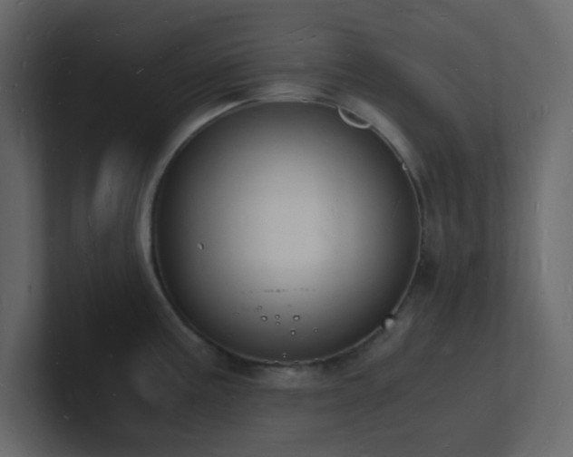 X0000101671195200807101353
