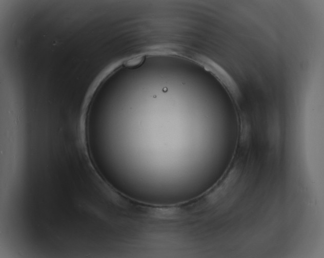 X0000101671196200807101353