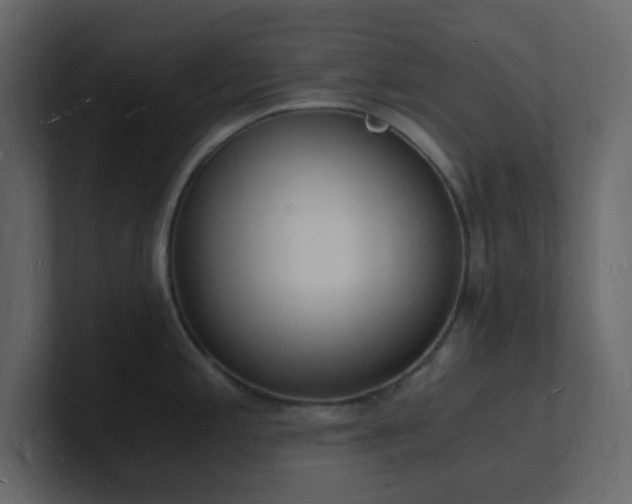 X0000101671197200807101353
