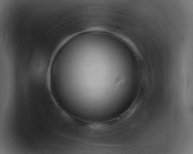 X0000101671199200807101353