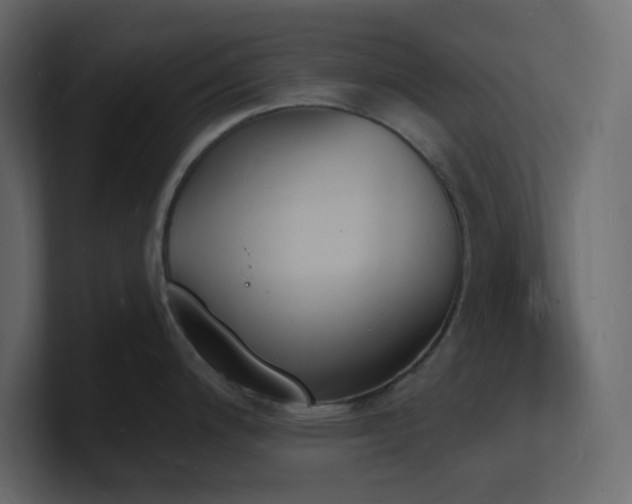 X0000101671200200807101353