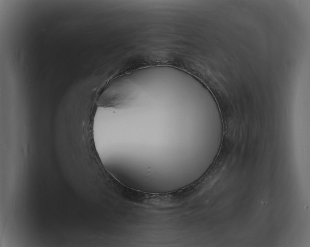X0000101671201200807101353