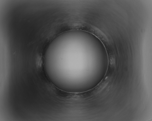 X0000101671204200807101353