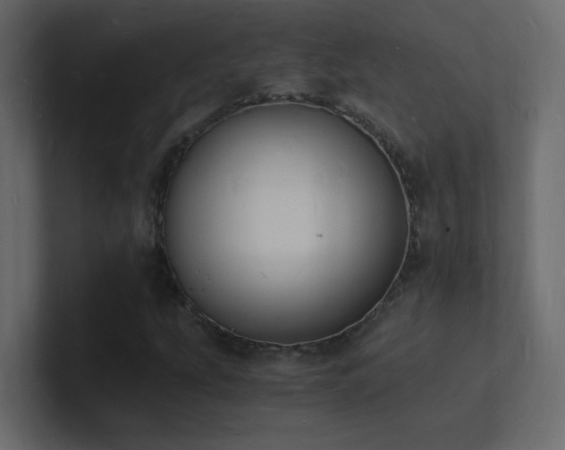 X0000101671207200807101353