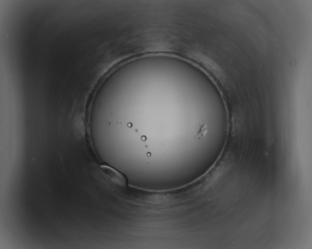X0000101671212200807101353