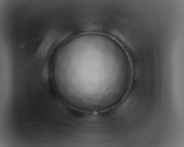 X0000101671213200807101353