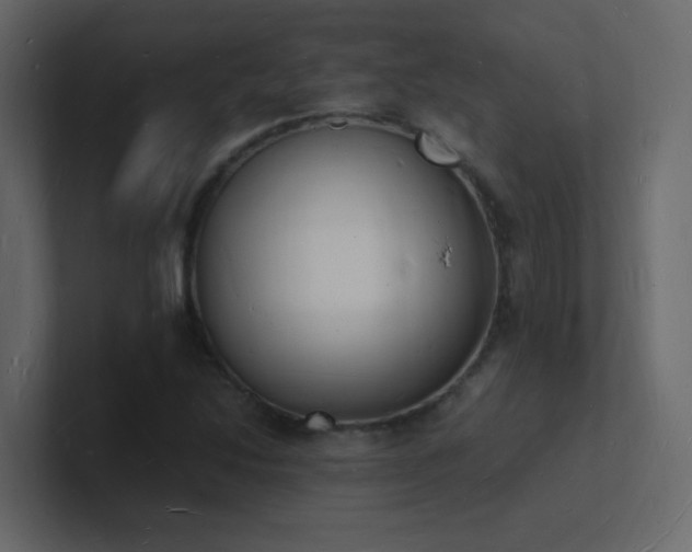 X0000101671214200807101353
