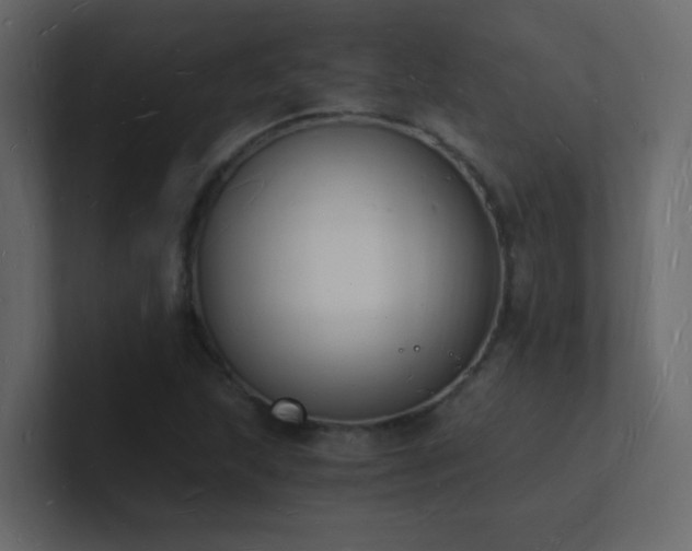 X0000101671215200807101353