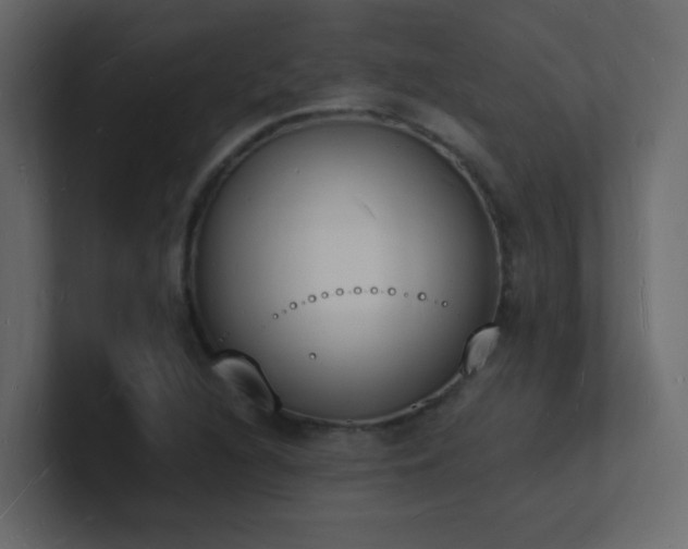 X0000101671216200807101353