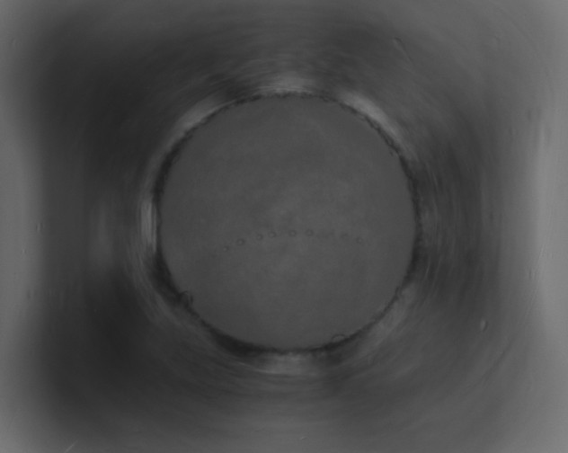 X0000101671219200807101353