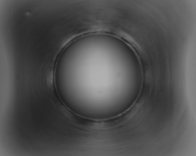 X0000101671220200807101353
