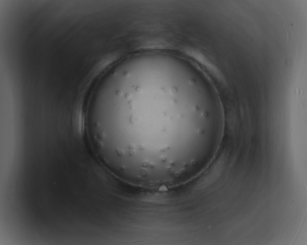 X0000101671221200807101353