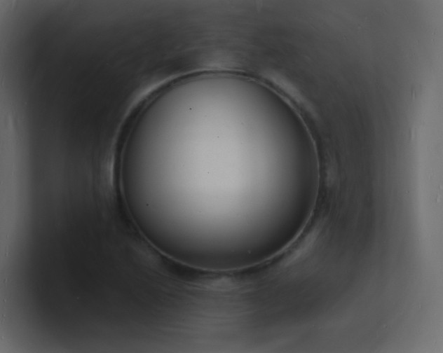 X0000101671222200807101353