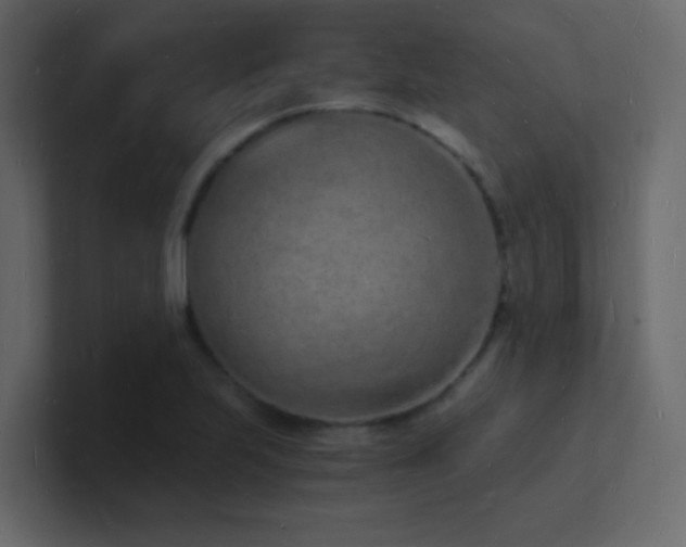 X0000101671223200807101353