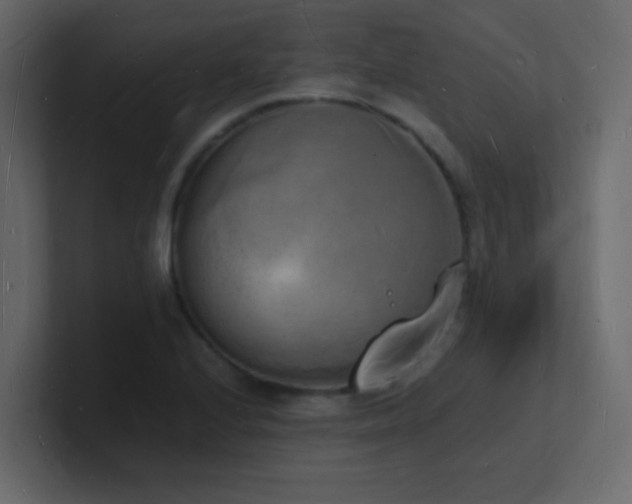 X0000101671224200807101353