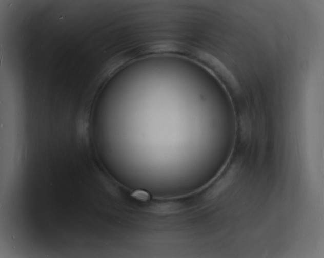 X0000101671225200807101353