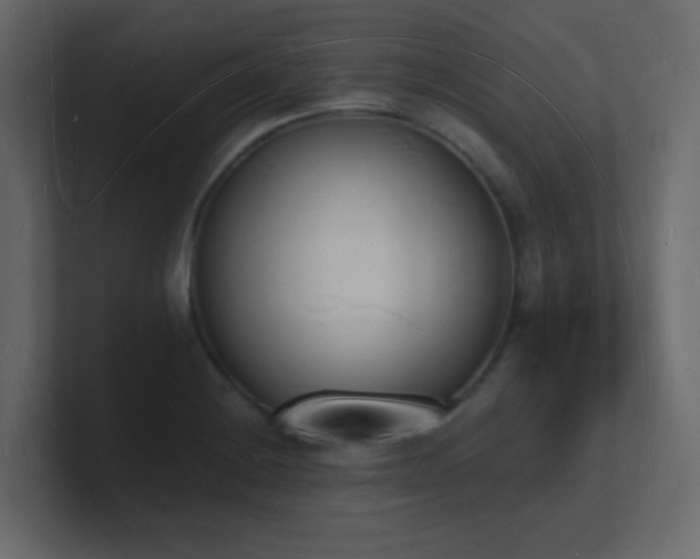 X0000101671228200807101353