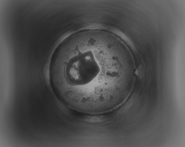 X0000101671229200807101353