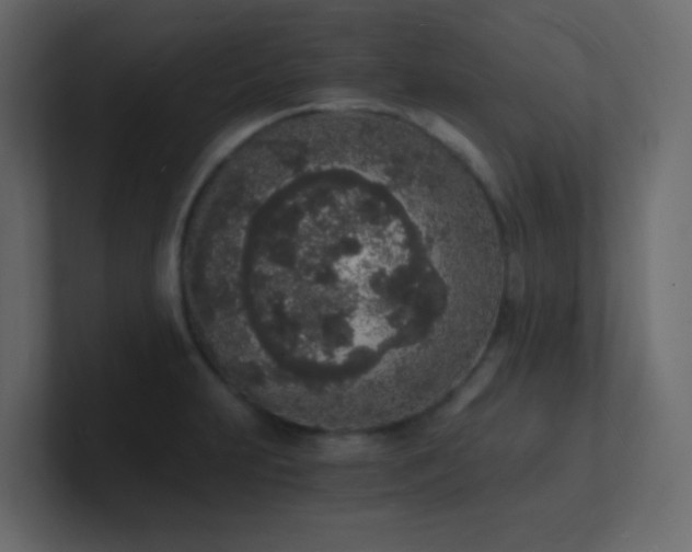 X0000101671231200807101353