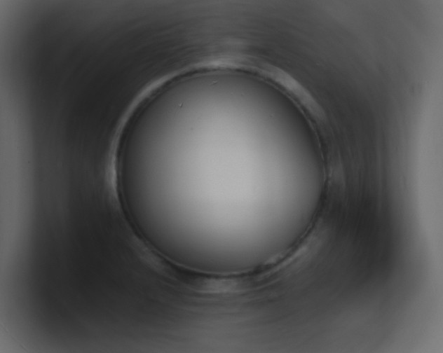 X0000101671232200807101353