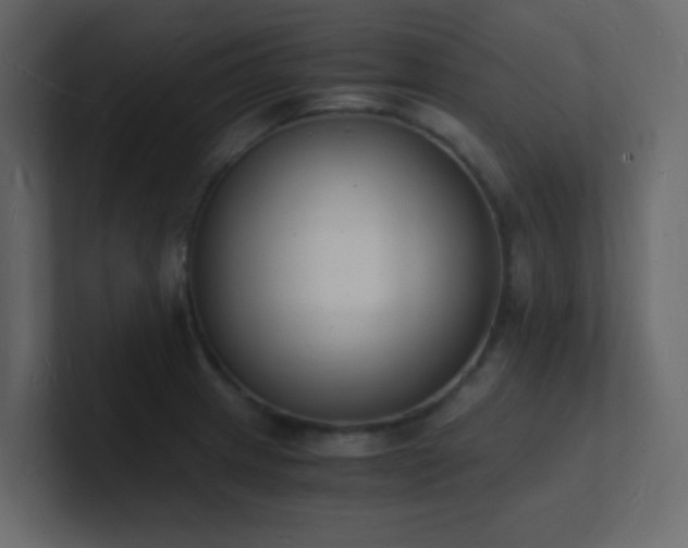 X0000101671233200807101353