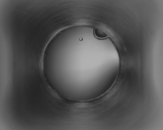 X0000101671236200807101353