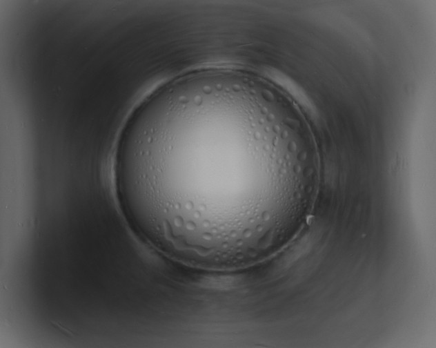 X0000101671237200807101353