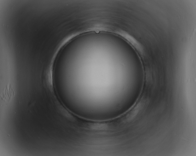 X0000101671238200807101353