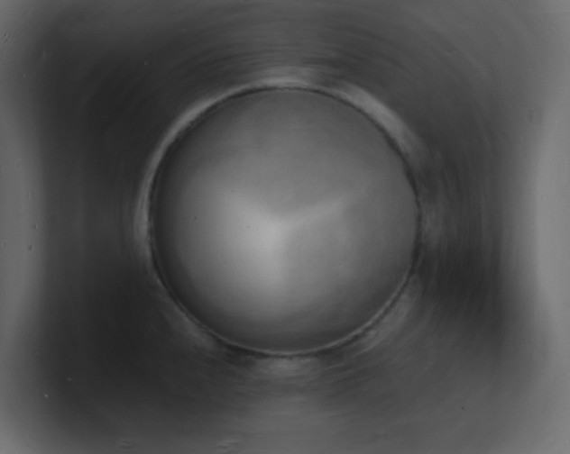 X0000101671240200807101353