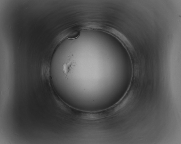 X0000101671241200807101353