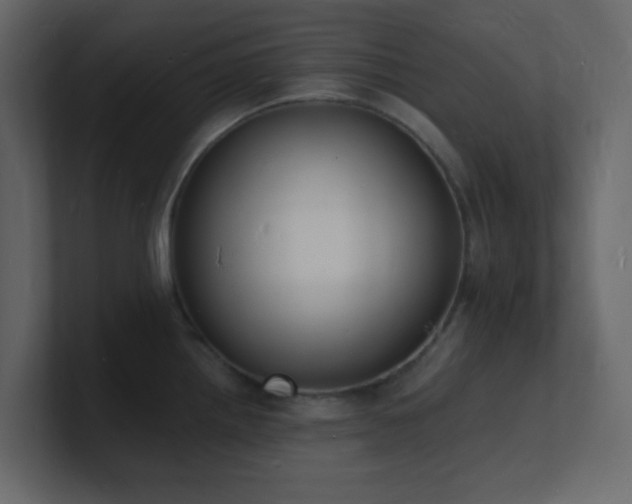 X0000101671242200807101353