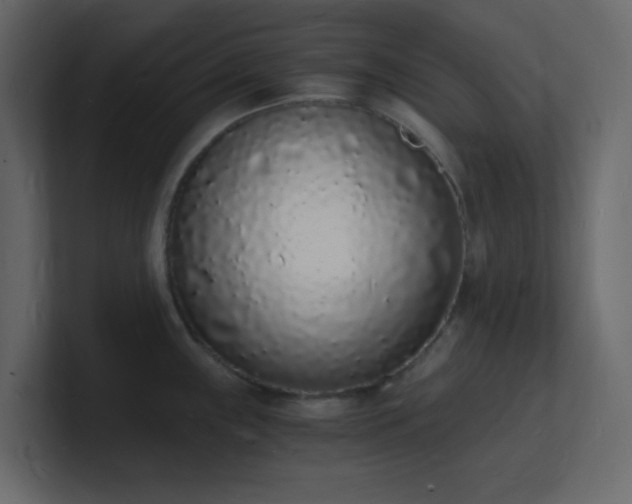 X0000101671243200807101353