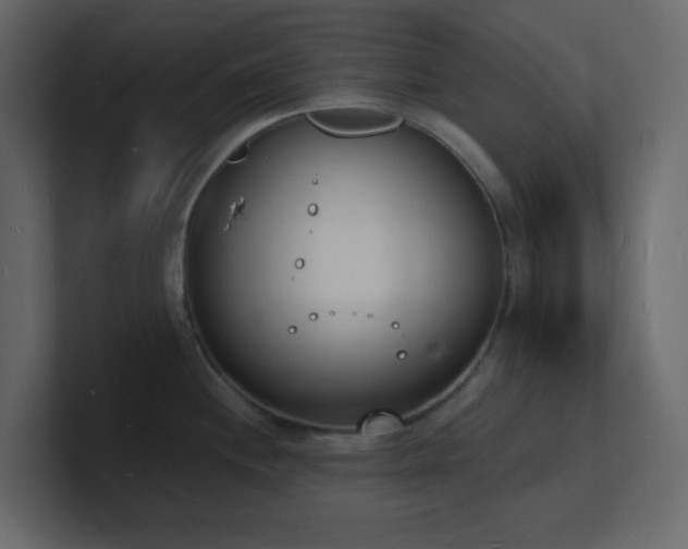 X0000101671244200807101353
