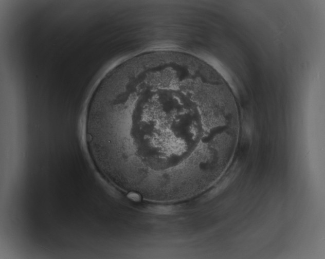 X0000101671245200807101353