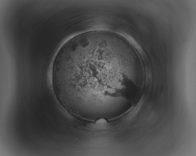 X0000101671246200807101353