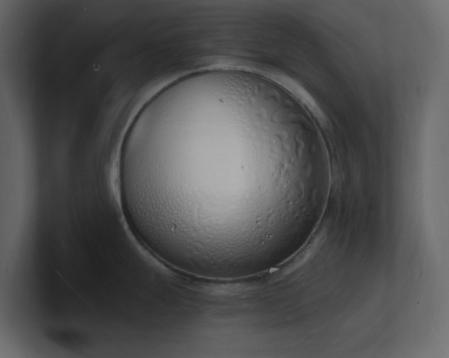 X0000101671247200807101353