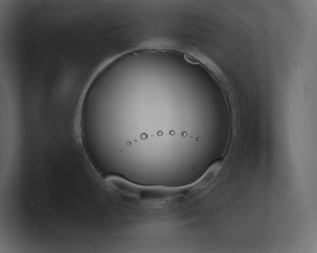 X0000101671248200807101353