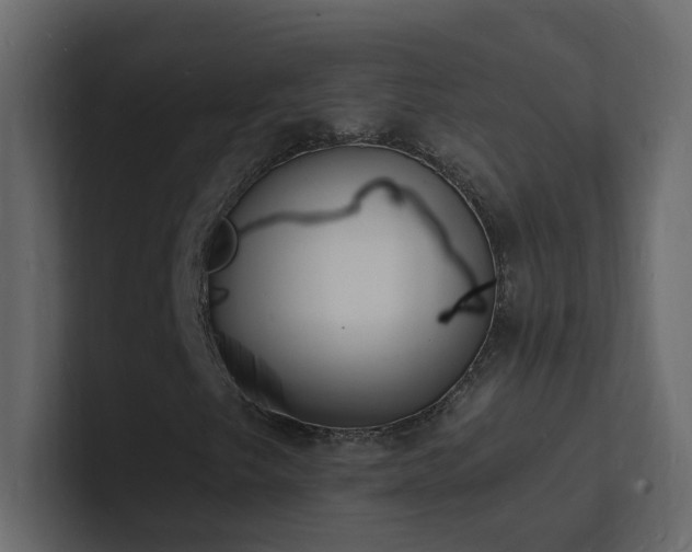 X0000101671249200807101353