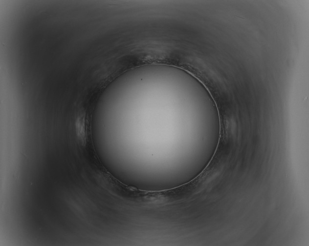 X0000101671250200807101353