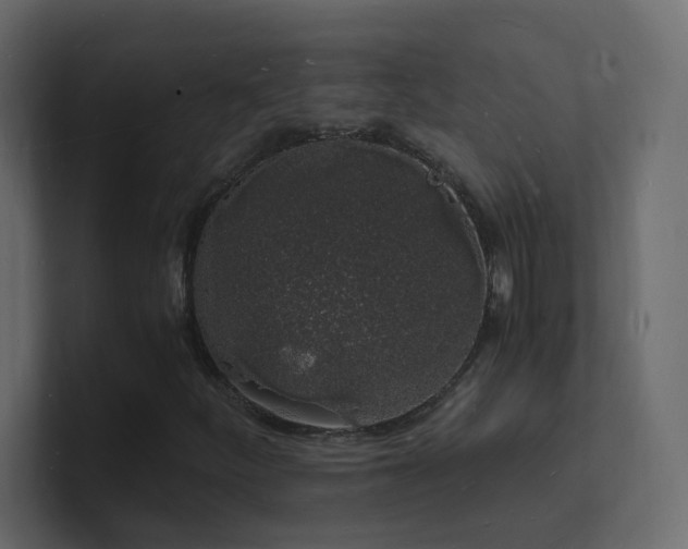 X0000101671252200807101352