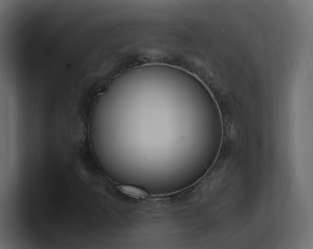 X0000101671253200807101352