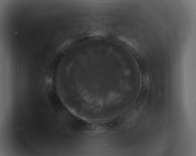 X0000101671254200807101352