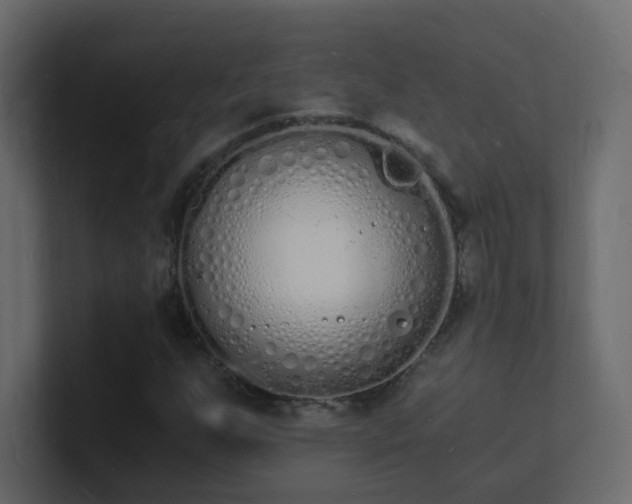 X0000101671255200807101352