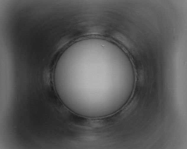 X0000101671258200807101352