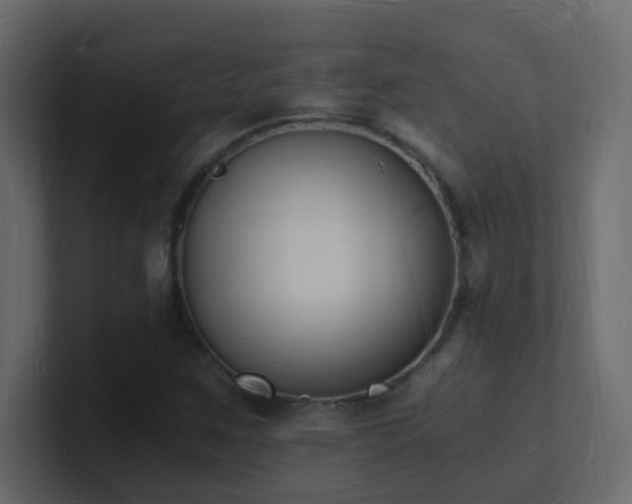 X0000101671259200807101352